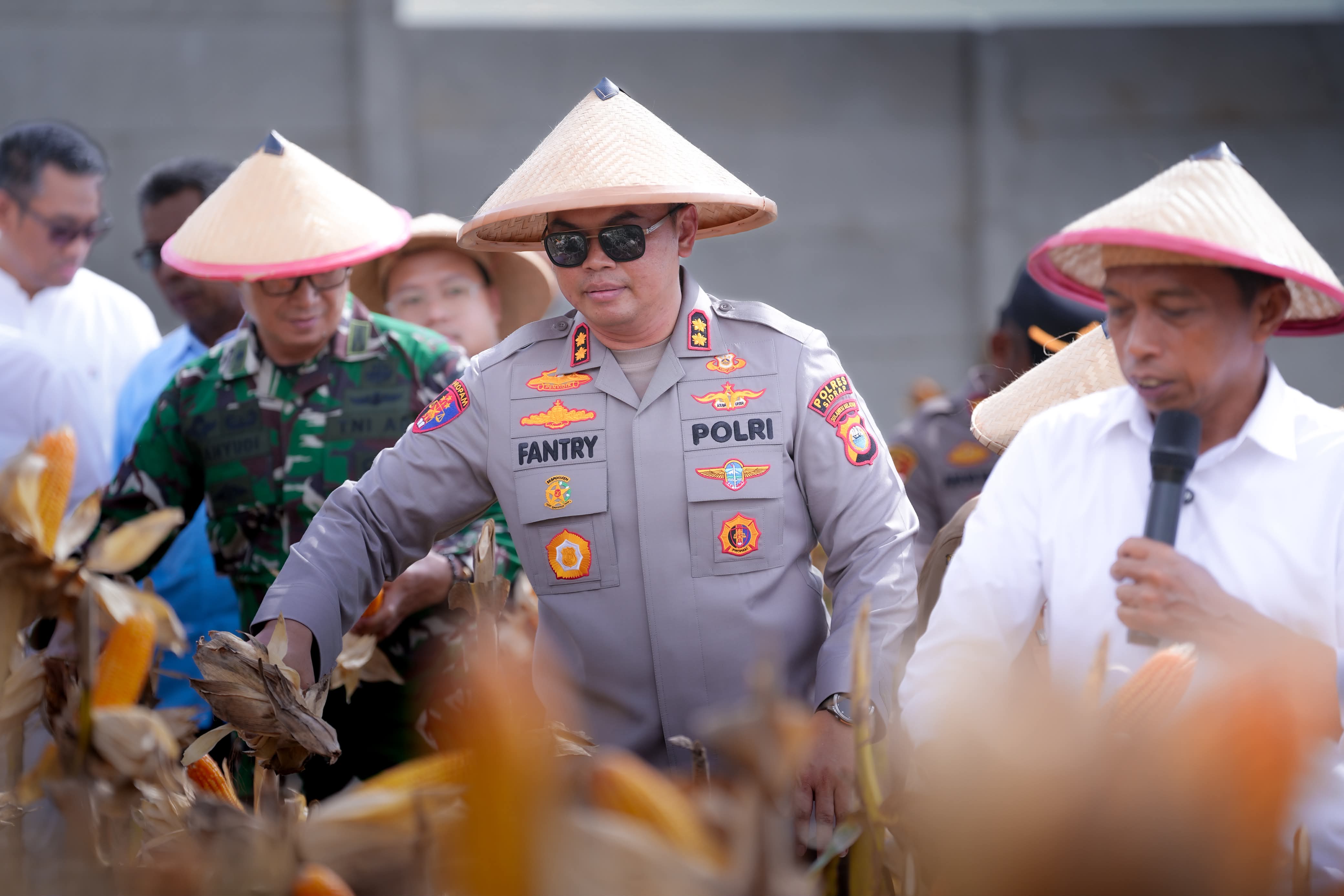Panen Raya Jagung Kuartal II 2026, Fantry: Hasil Panen Jagung Membaik